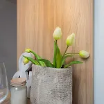 Enjoy דירה